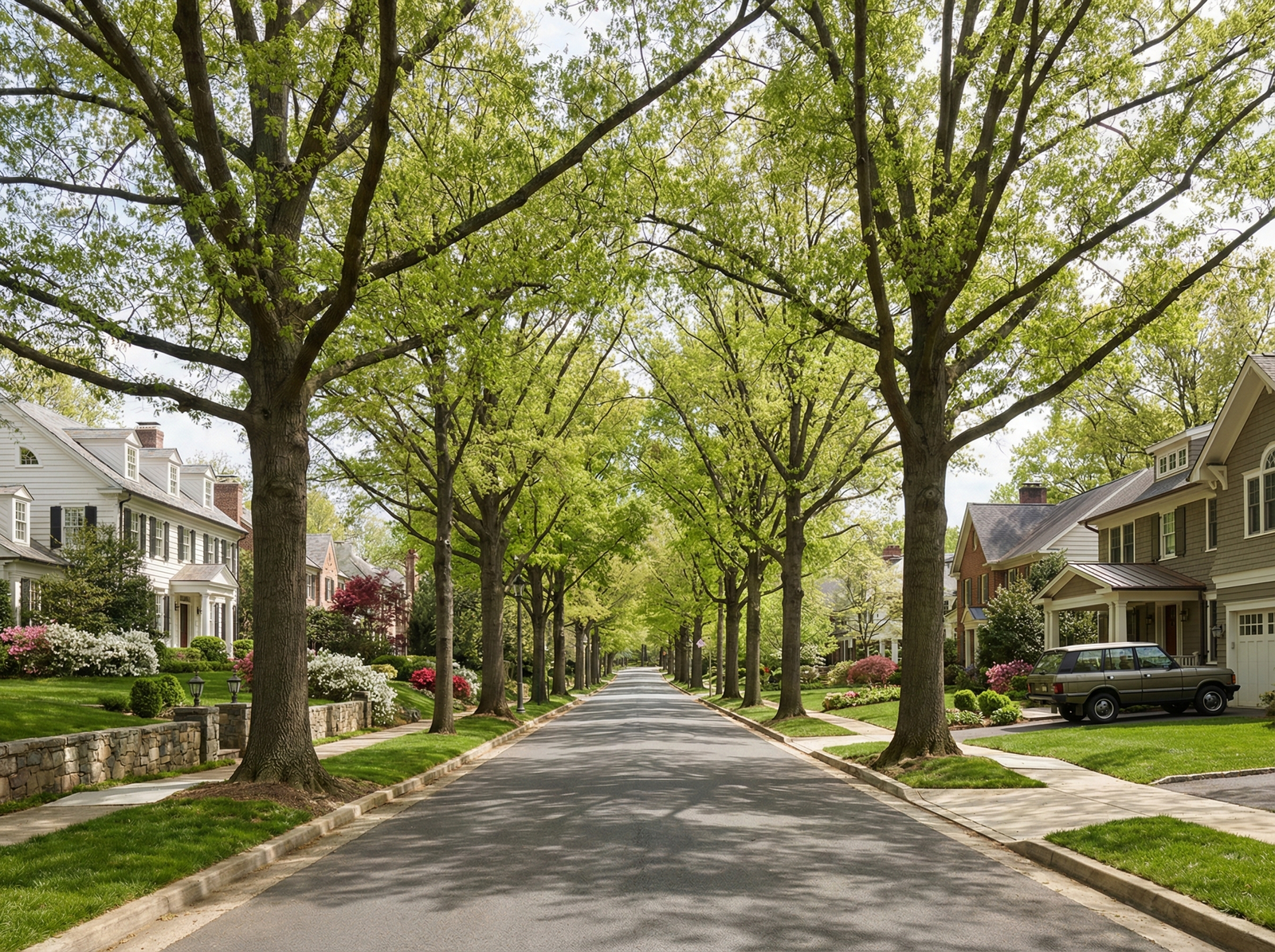 real estate representation DMV Premier Properties DMV