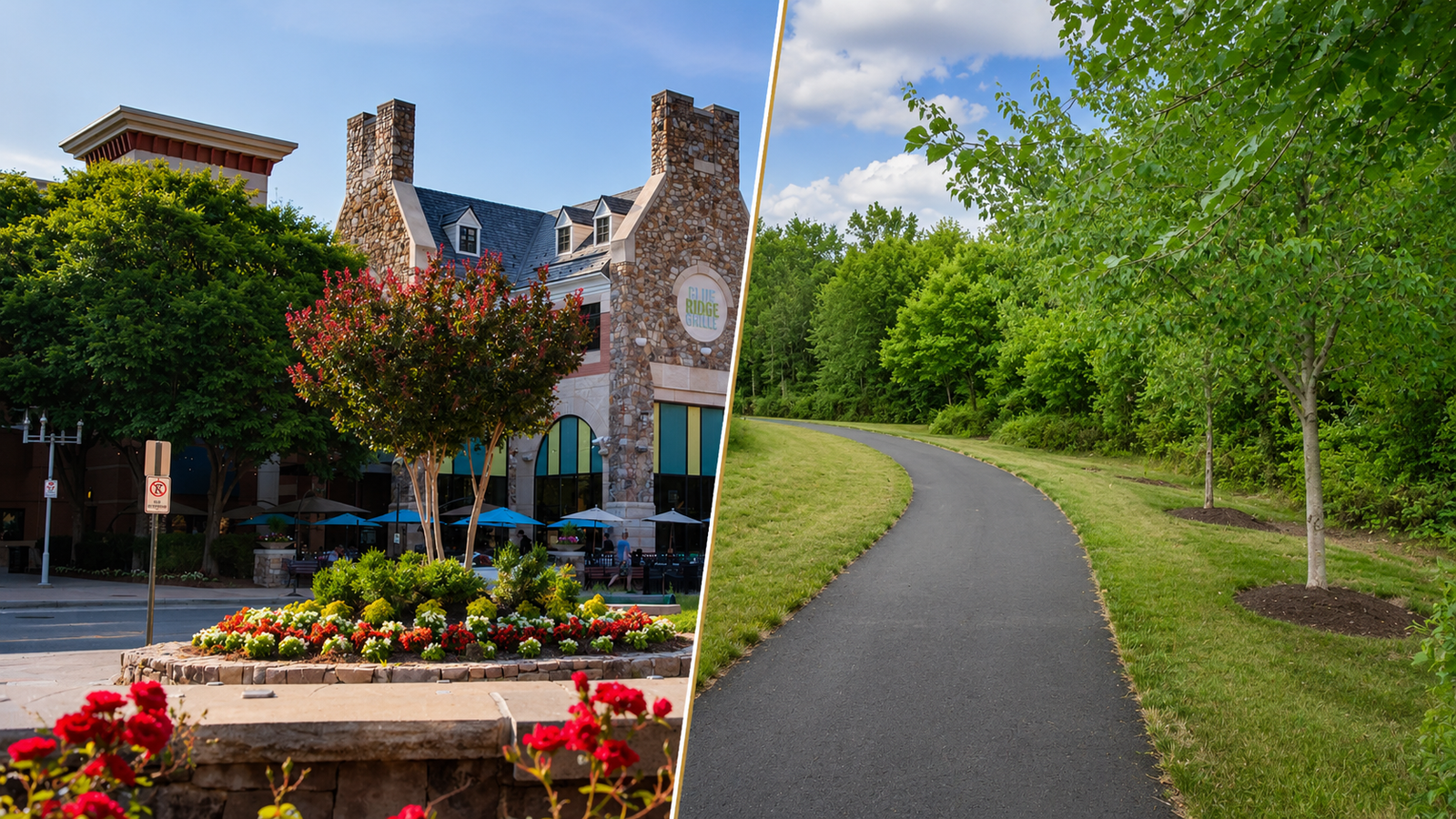 Ashburn VA real estate